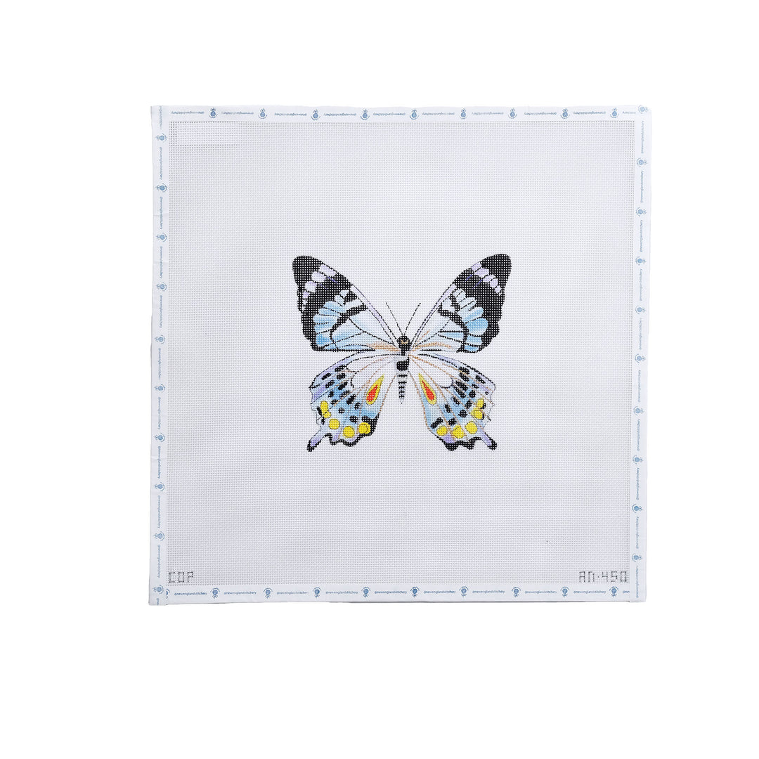 Colorful Butterfly