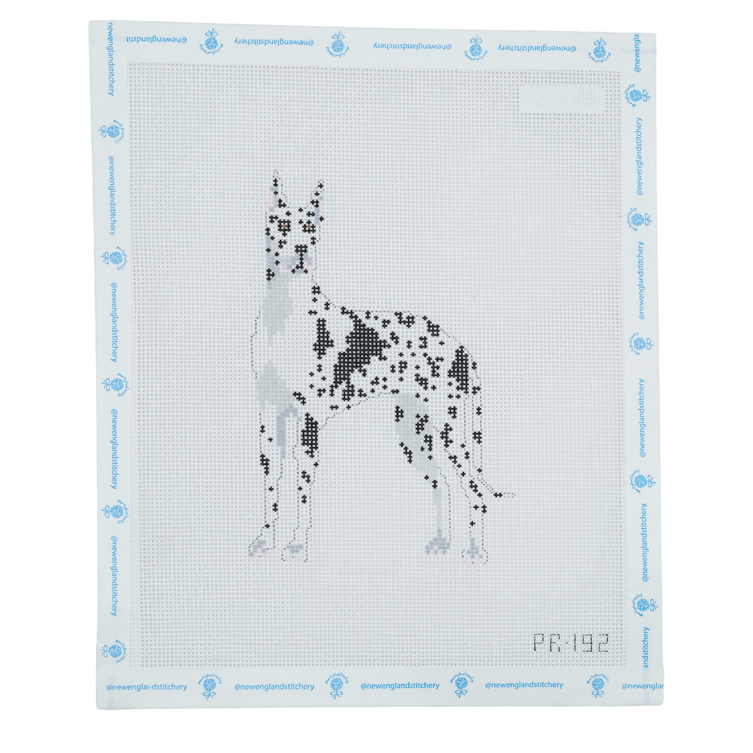 Harlequin Great Dane