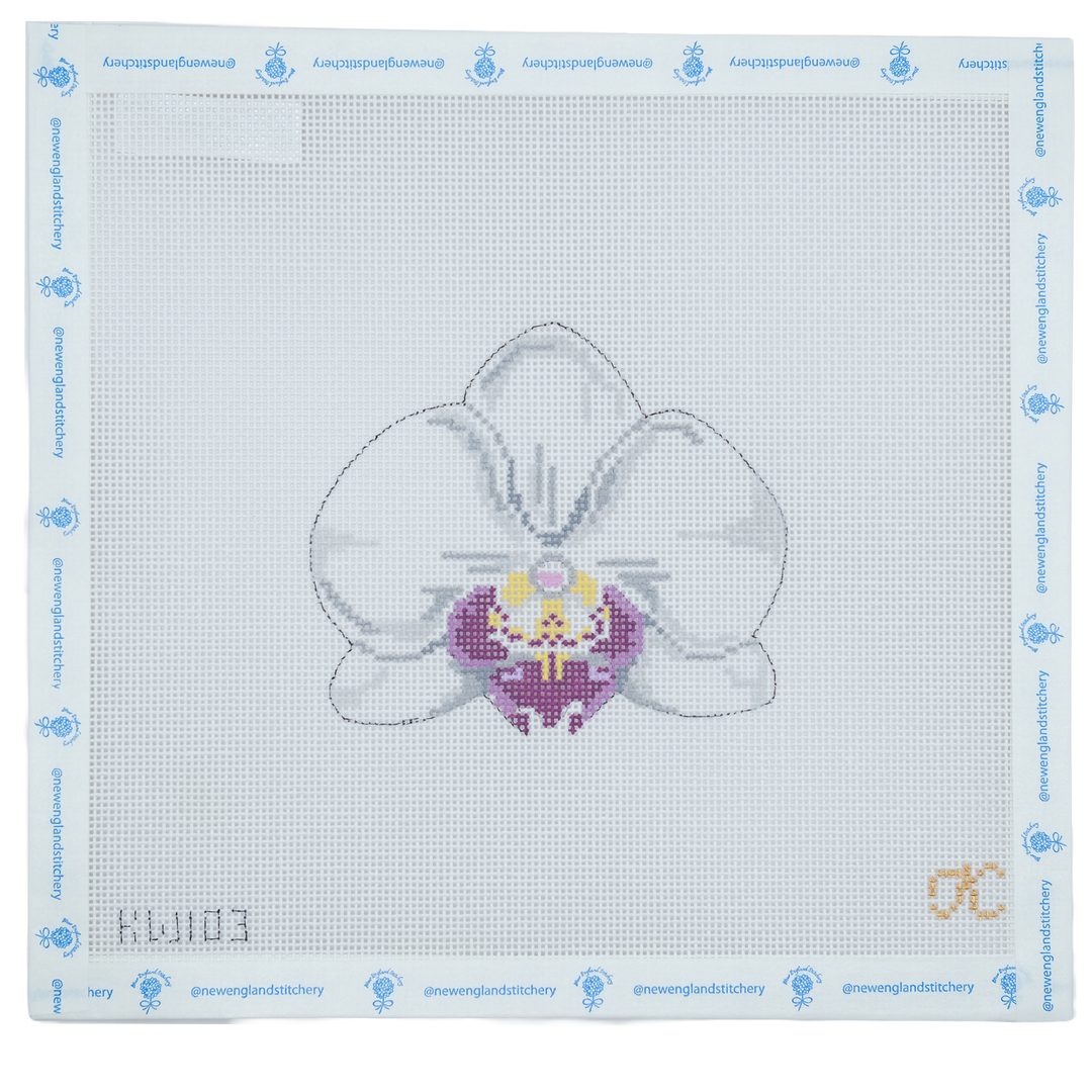 Single White Orchid