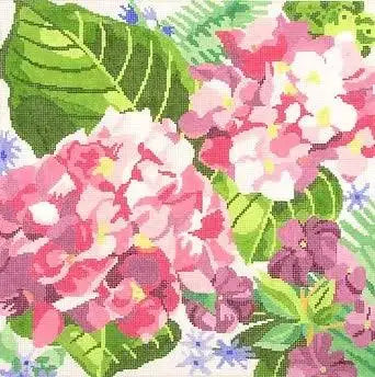 Hydrangea Blossoms