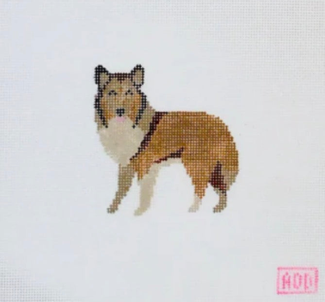 Mini Collie