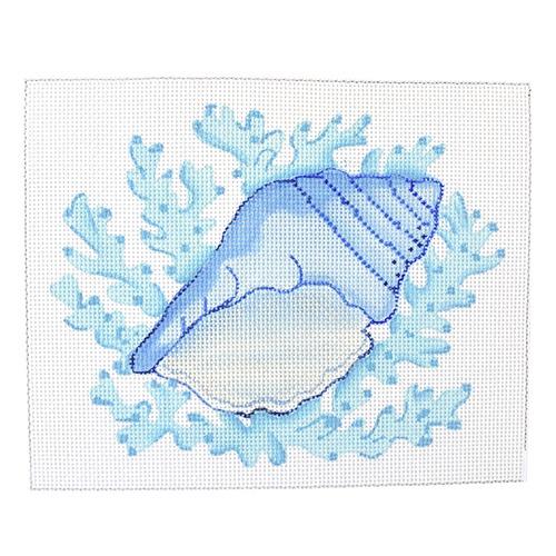 Blue Conch Shell on Coral