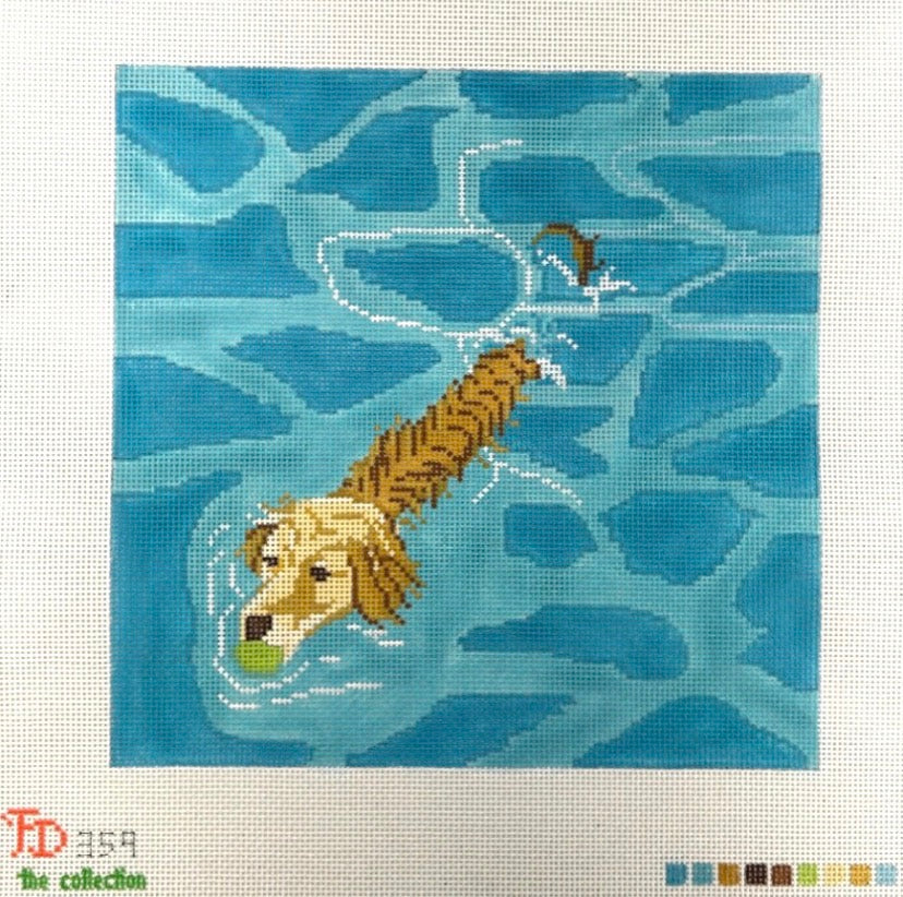 Golden Retriever Pool Fetch