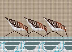 Sanderlings