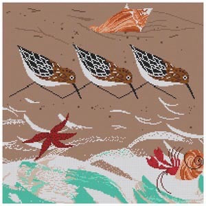 Beach Birds