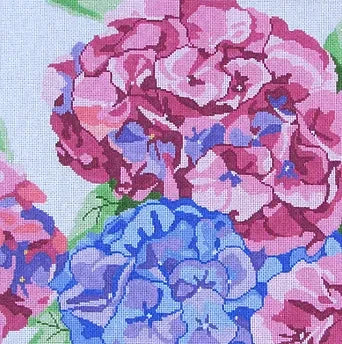 Glorious Hydrangea