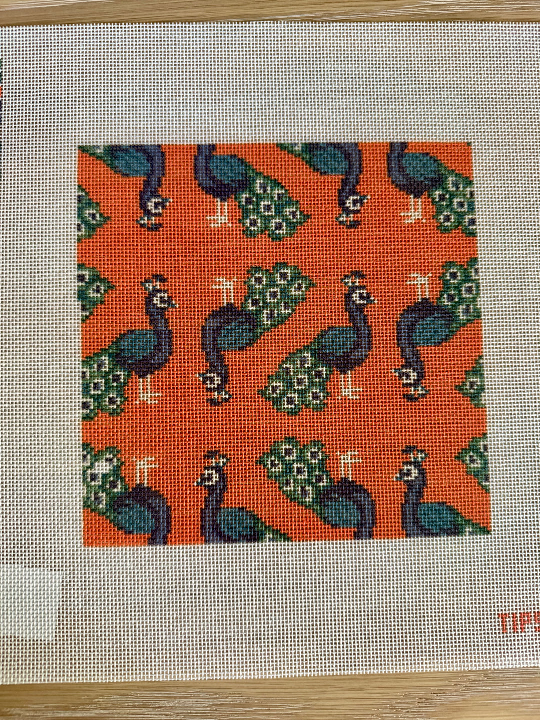 Orange Peacock Square