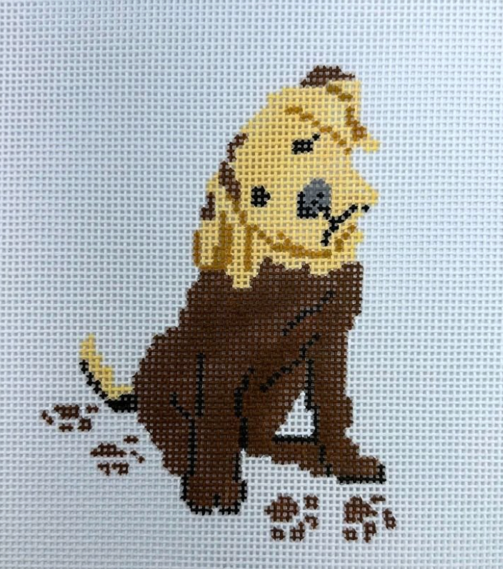 Muddy Yellow Lab Puppy