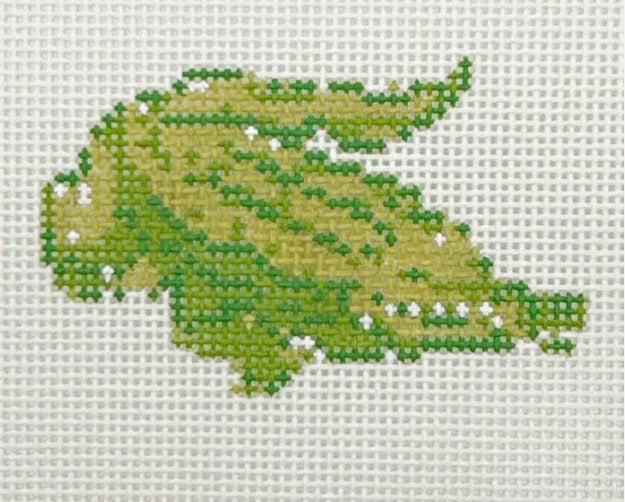 Florida Alligator