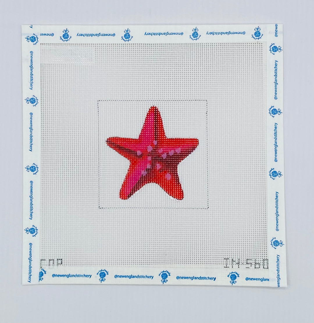 Red Starfish Insert