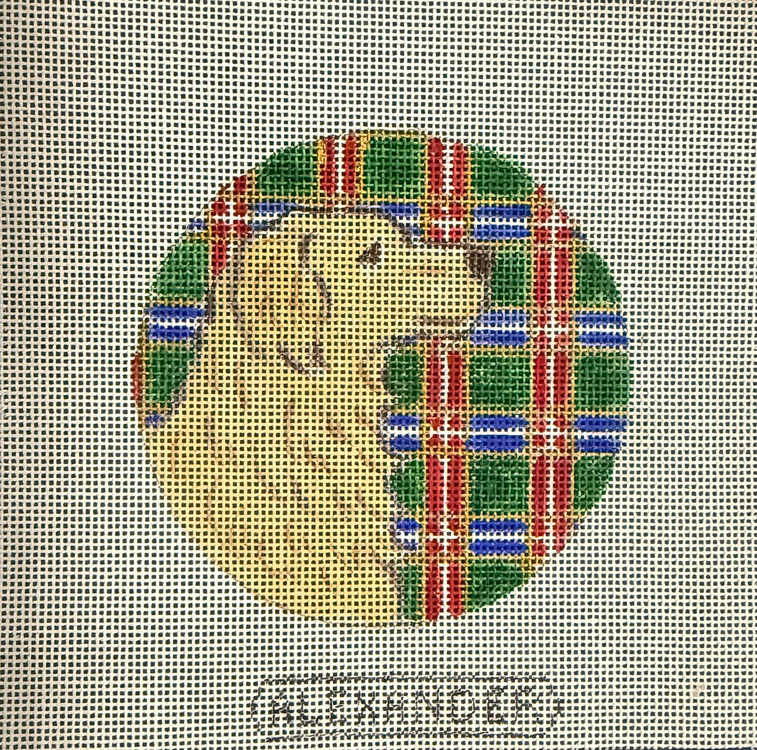 Golden Retriever on Plaid