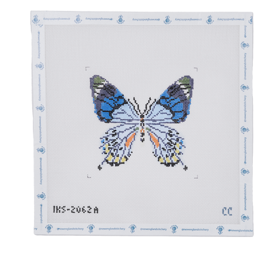 Blue Gray Butterfly