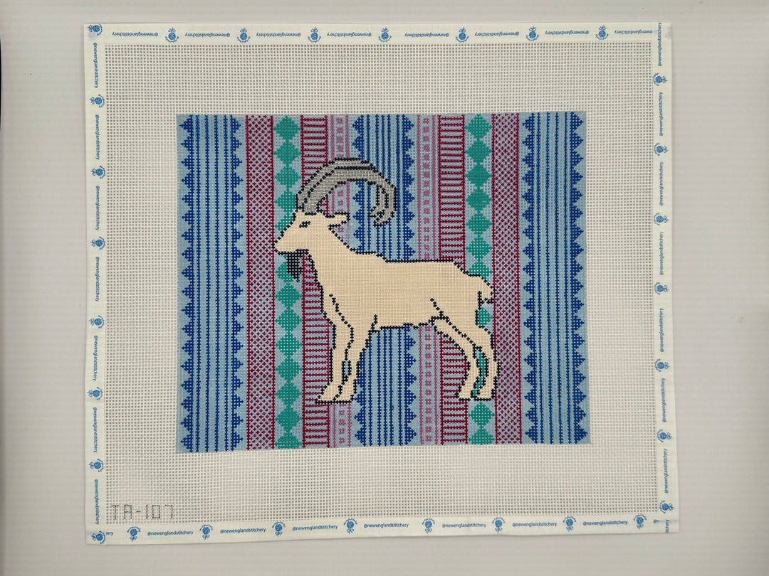Isla the Ibex