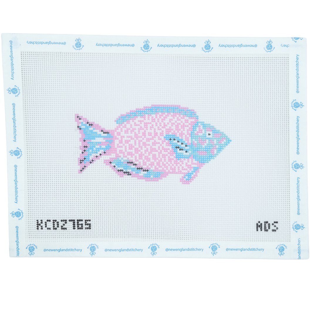 Pink and Blue Parrotfish