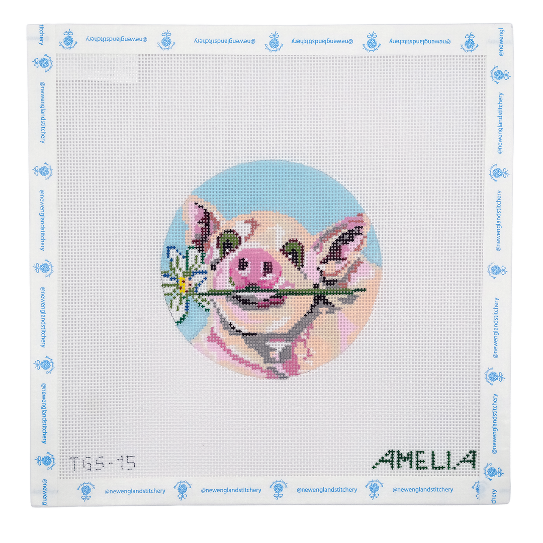 Pig with a Daisy