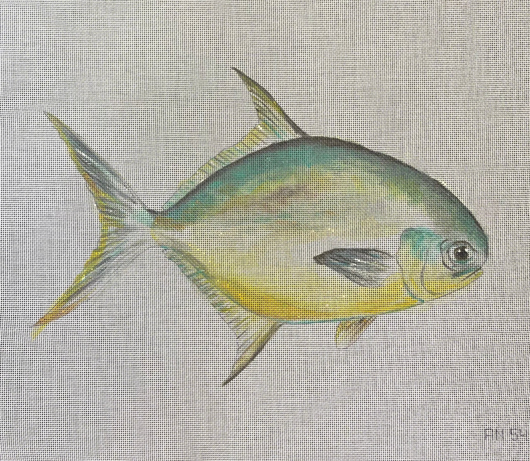 Florida Pompano