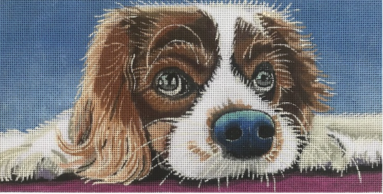 Puppy Eyes