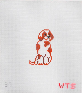 Mini Cavalier King Charles Spaniel - Blenheim
