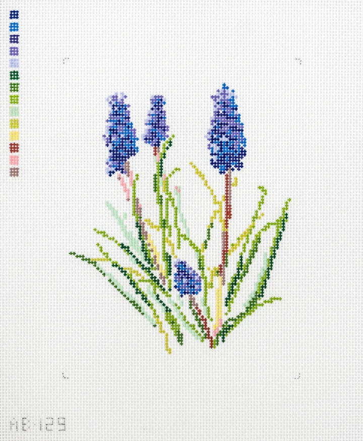 Grape Hyacinth