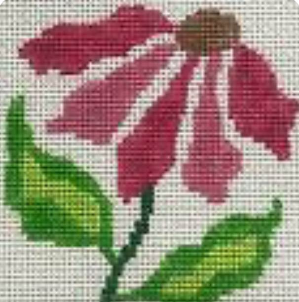 Simple Flower Coneflower