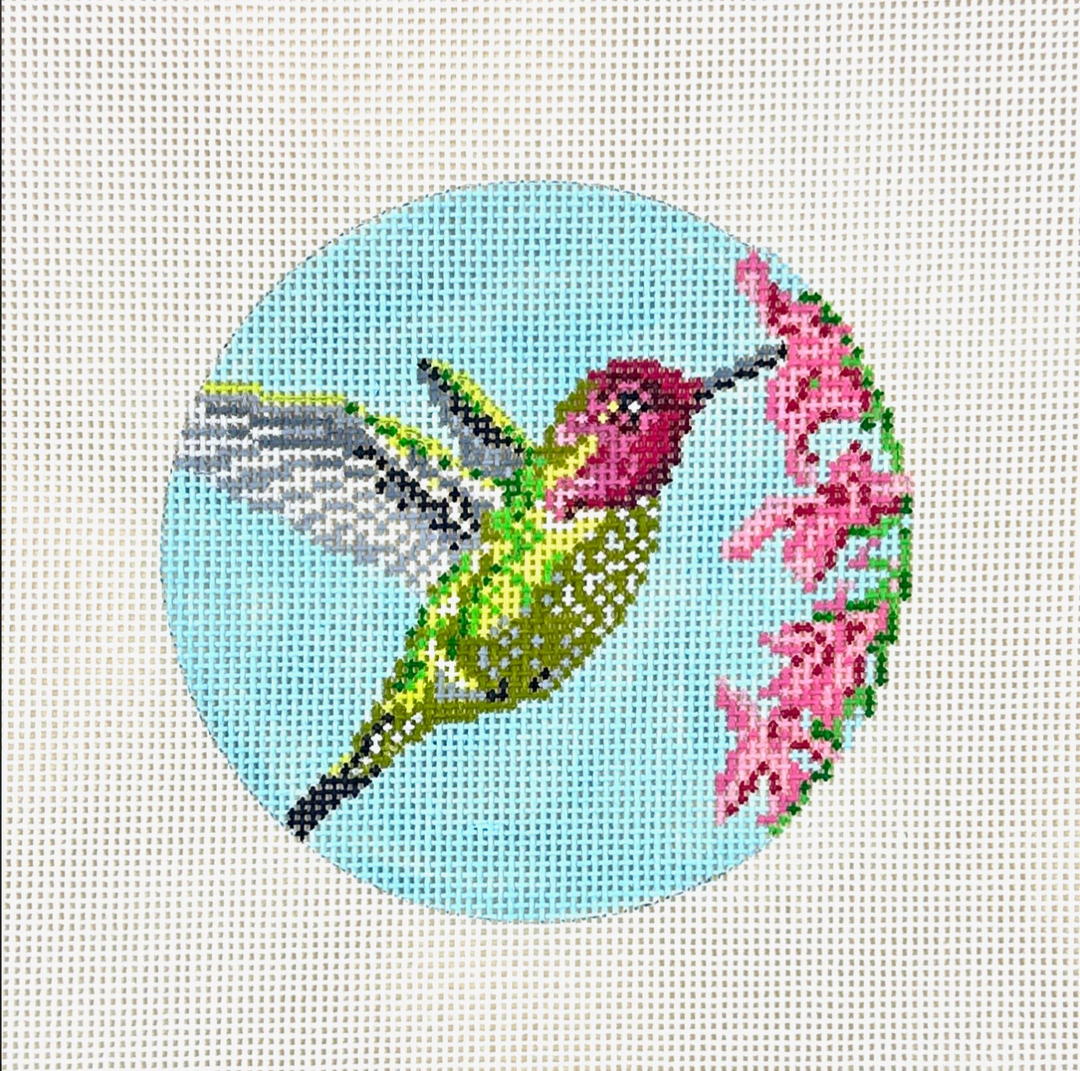 Anna's Hummingbird