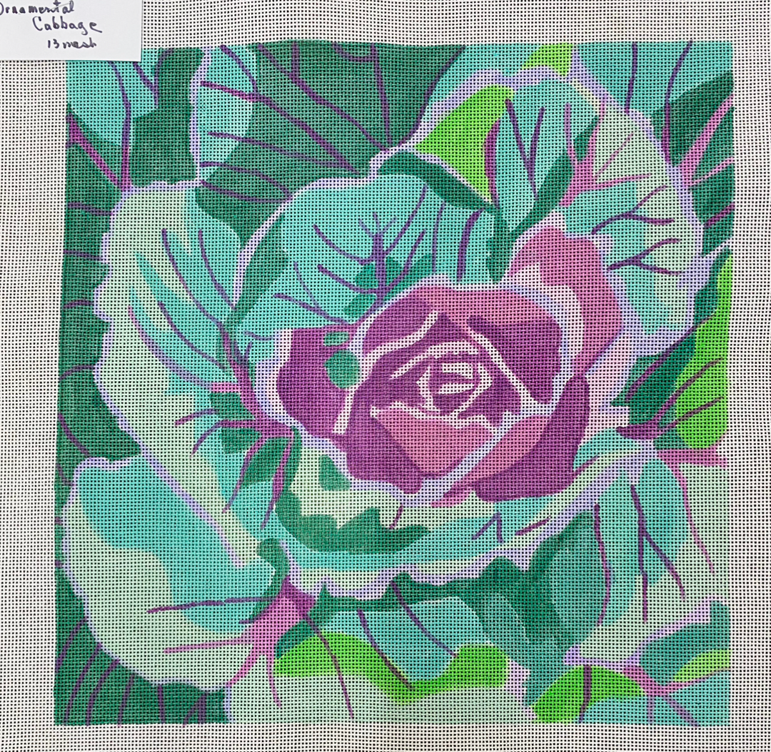 Ornamental Cabbage