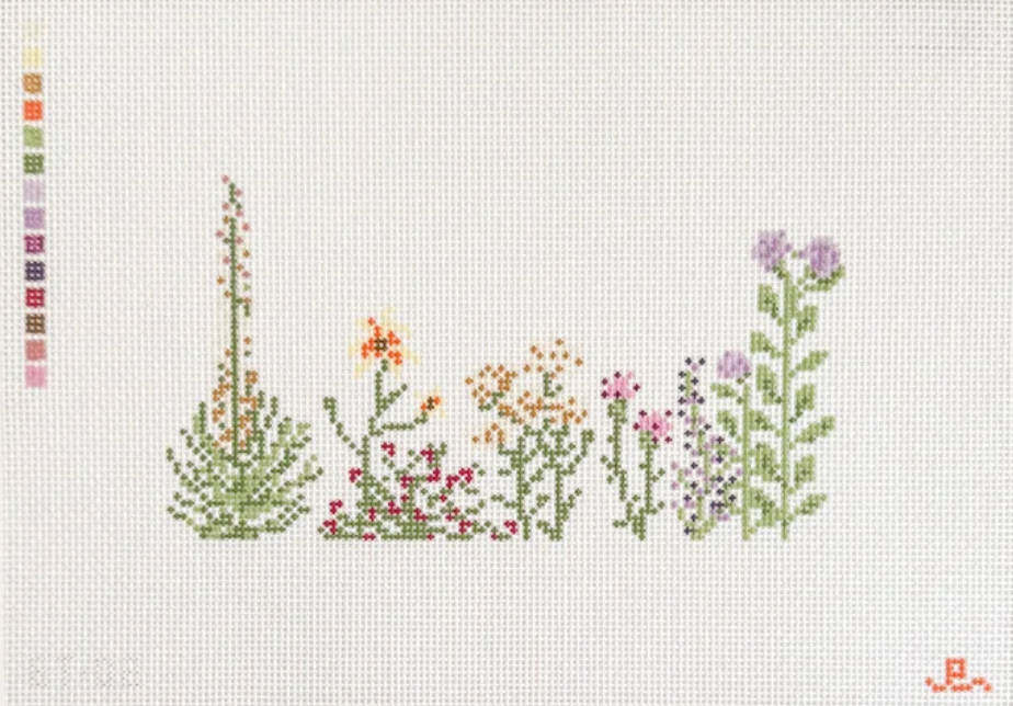 Kansas Wildflowers