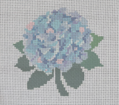 Colorful Hydrangea