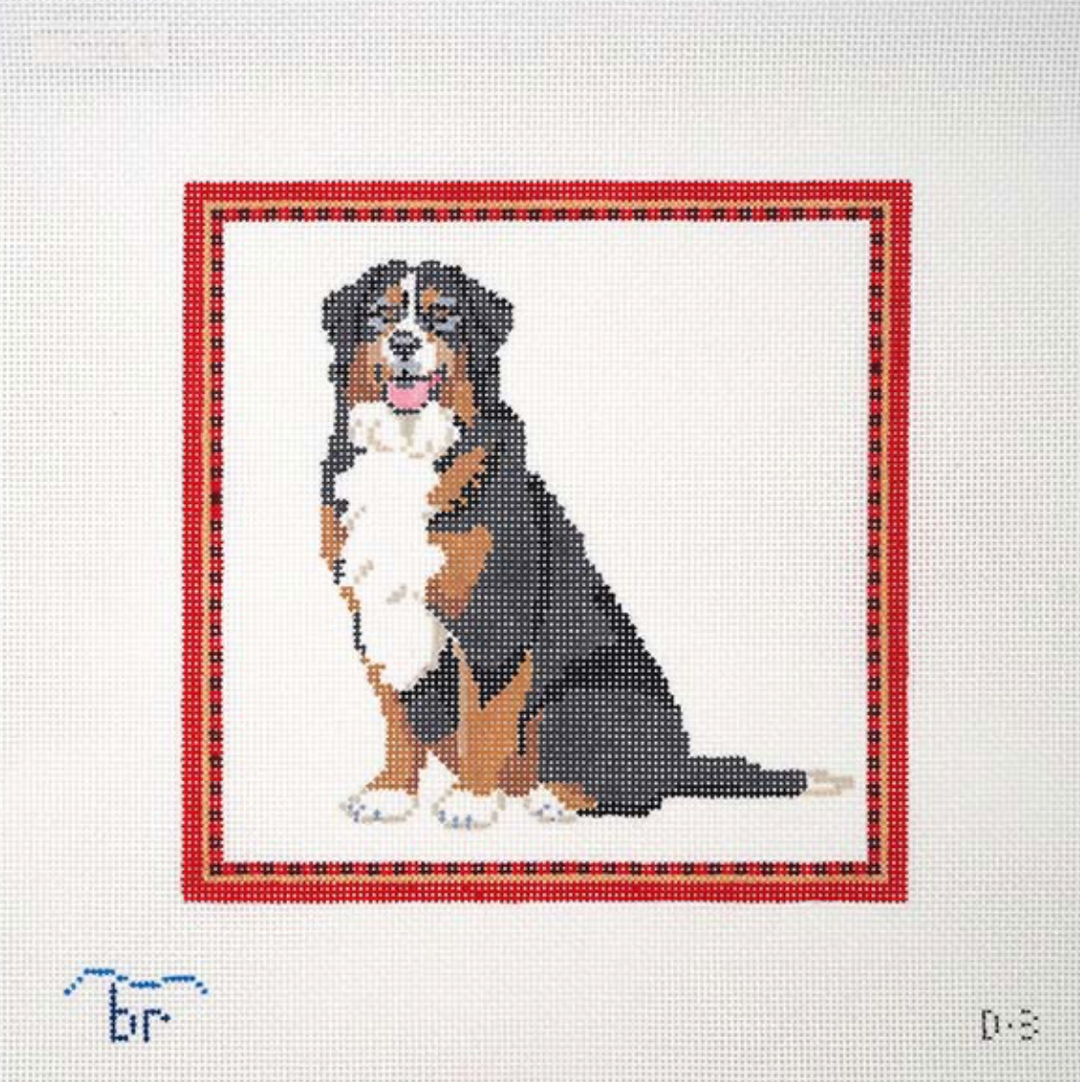Bernese Mountain Dog