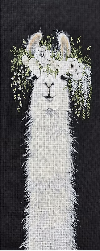 Dolly Llama