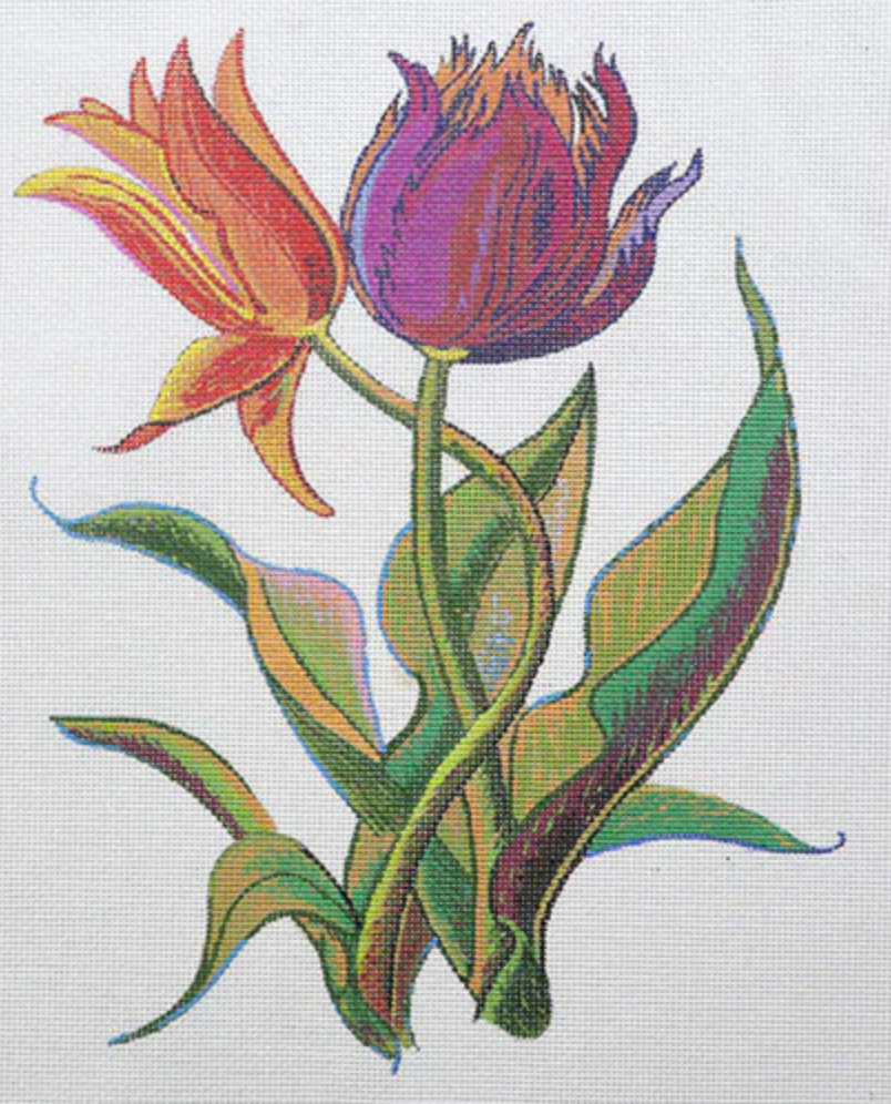 Tulips on 18