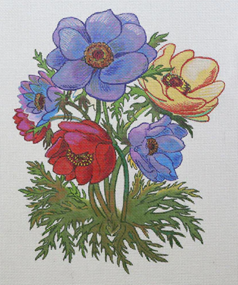 Anemones on 13