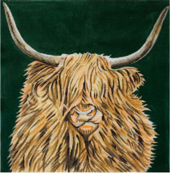 Scottish Highland Cow