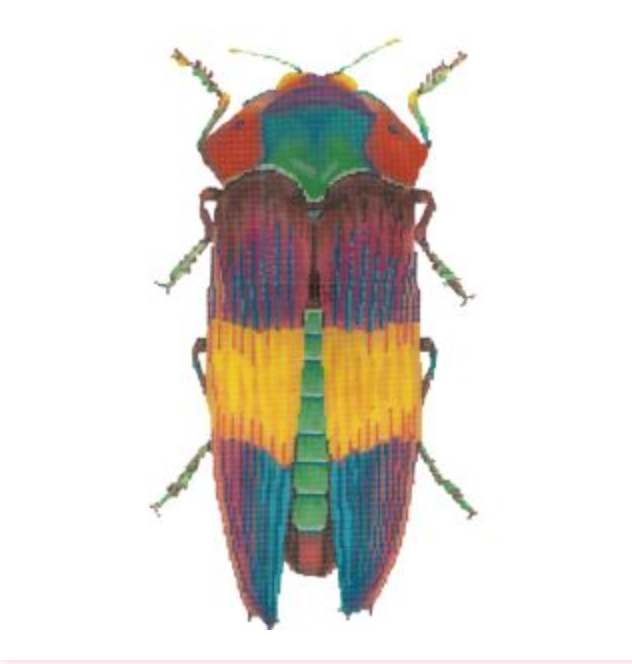 Rainbow Little Bug