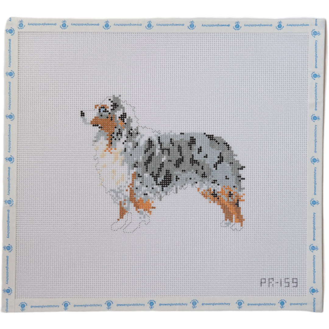 Australian Sheperd