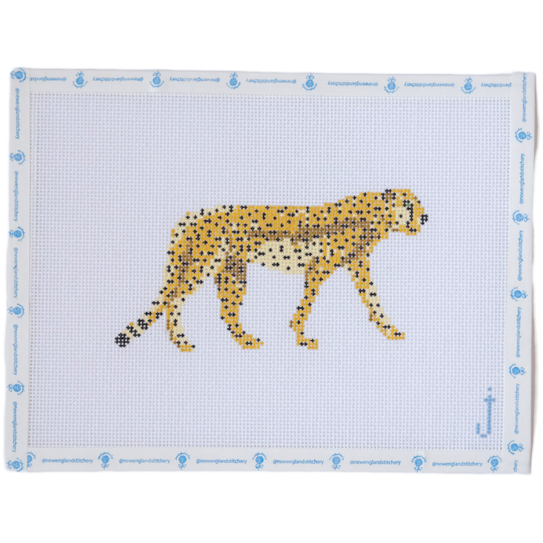 Cheetah